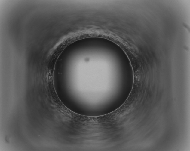 X0000091481495200708231349