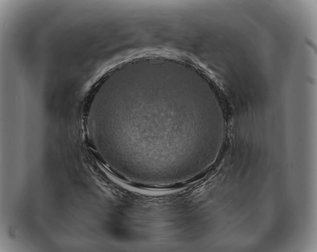 X0000091481496200708231349