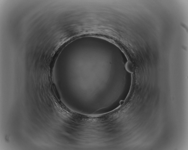 X0000091481497200708231349