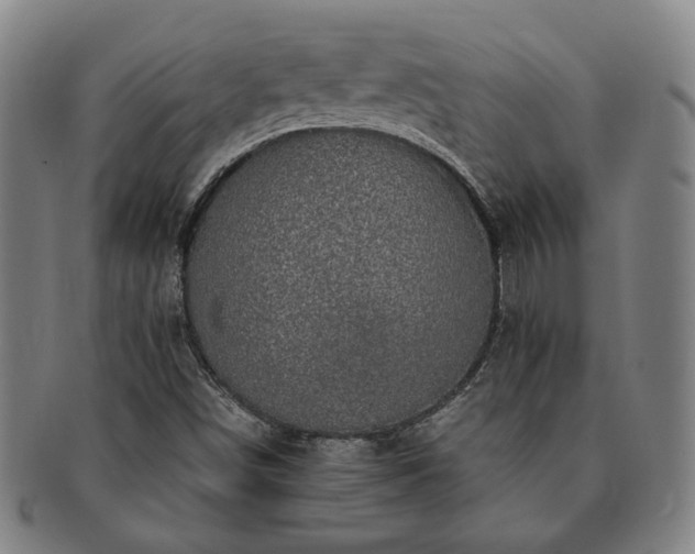 X0000091481498200708231349