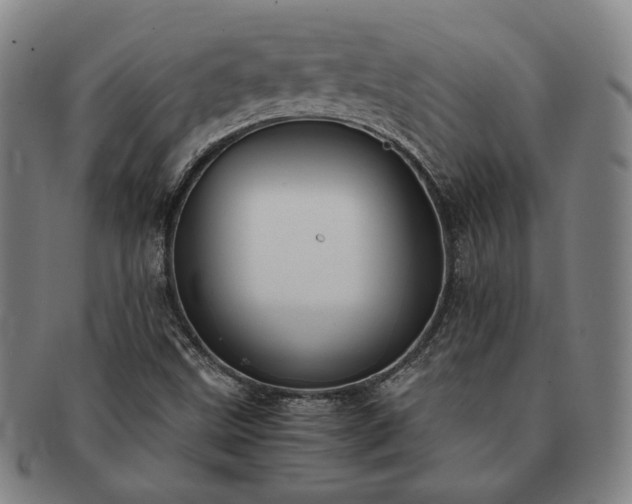 X0000091481499200708231349