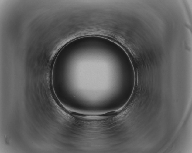 X0000091481500200708231349