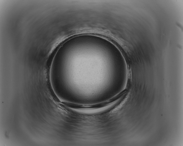 X0000091481501200708231349