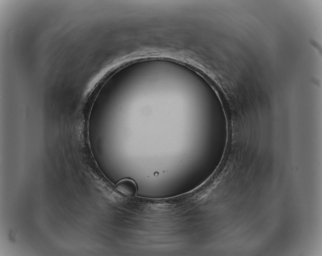 X0000091481502200708231349