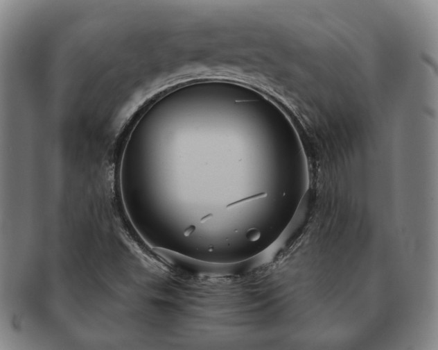 X0000091481503200708231349