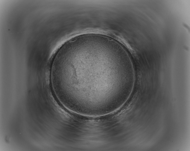 X0000091481504200708231349