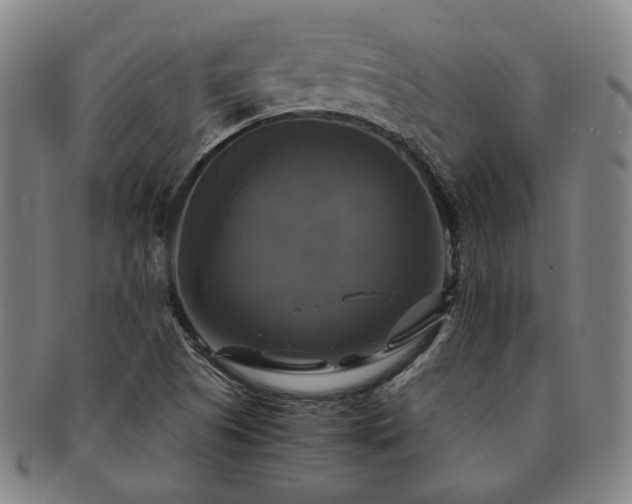 X0000091481505200708231349