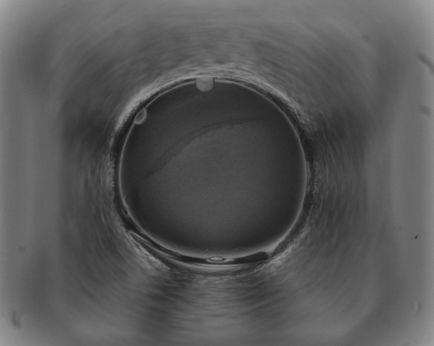 X0000091481506200708231349