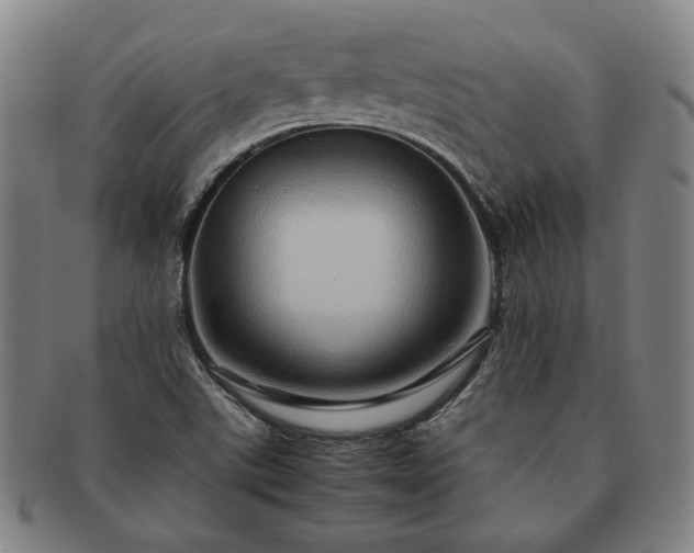 X0000091481507200708231349