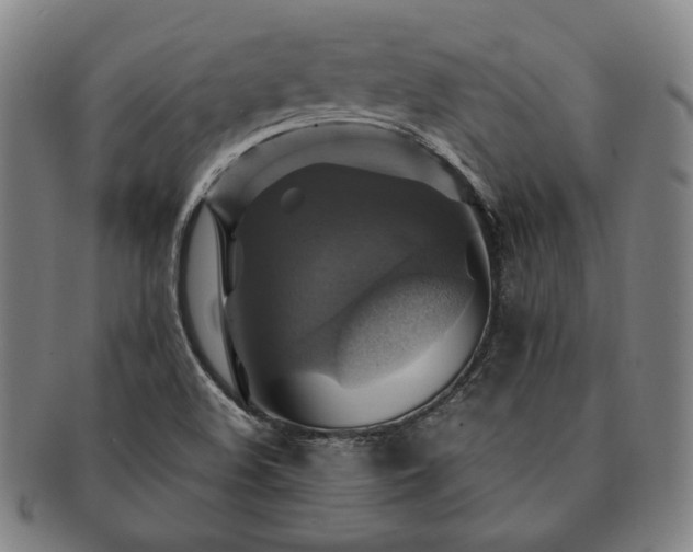 X0000091481508200708231349