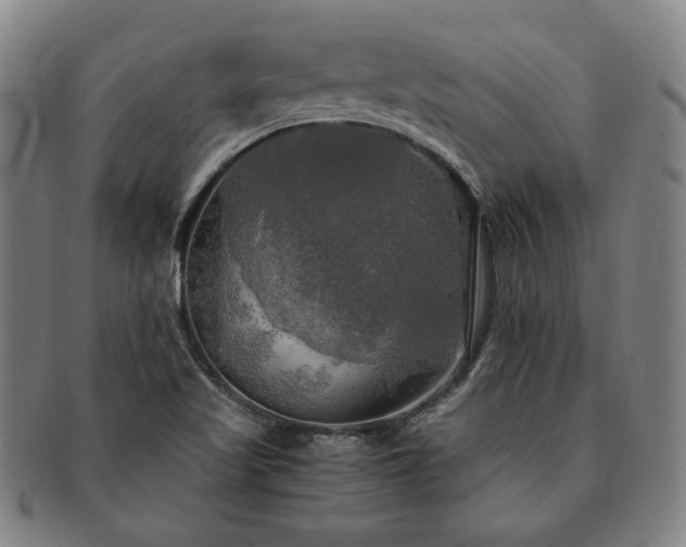 X0000091481509200708231349