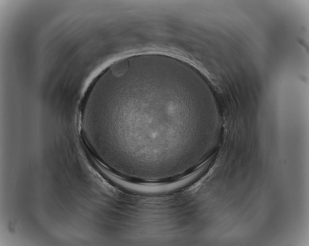 X0000091481510200708231349