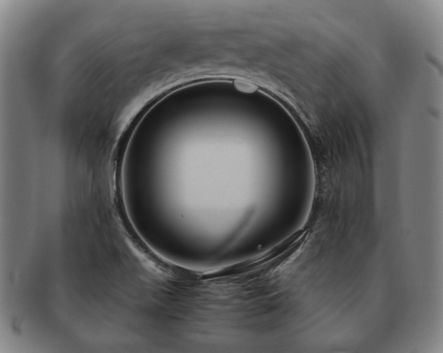 X0000091481511200708231349