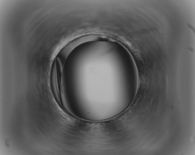 X0000091481512200708231349