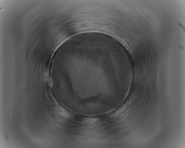 X0000091481513200708231349