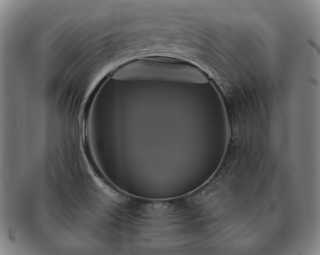 X0000091481515200708231349