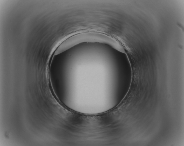 X0000091481516200708231349