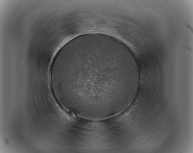 X0000091481517200708231349