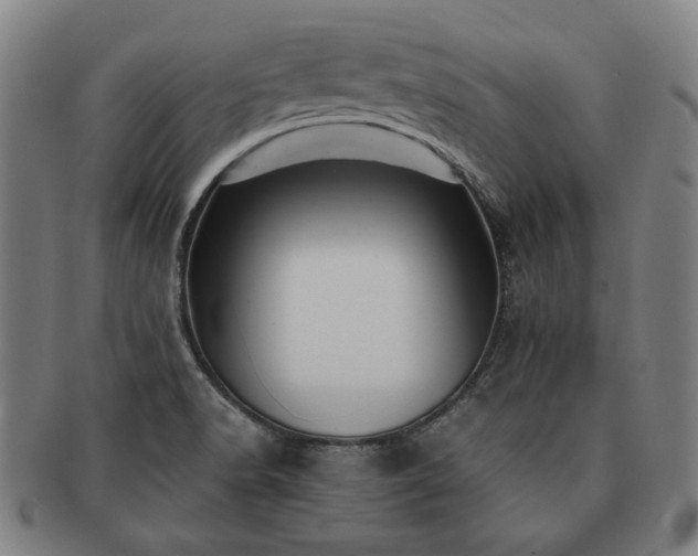 X0000091481518200708231349