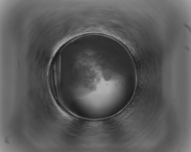 X0000091481519200708231349