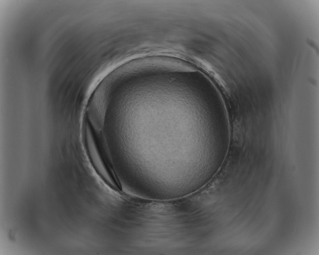 X0000091481520200708231349