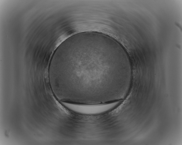 X0000091481521200708231349