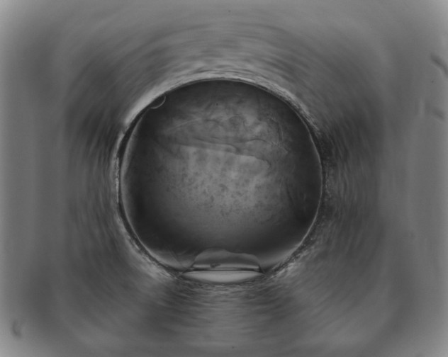 X0000091481522200708231349