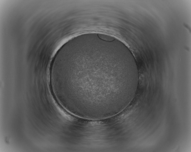 X0000091481523200708231349