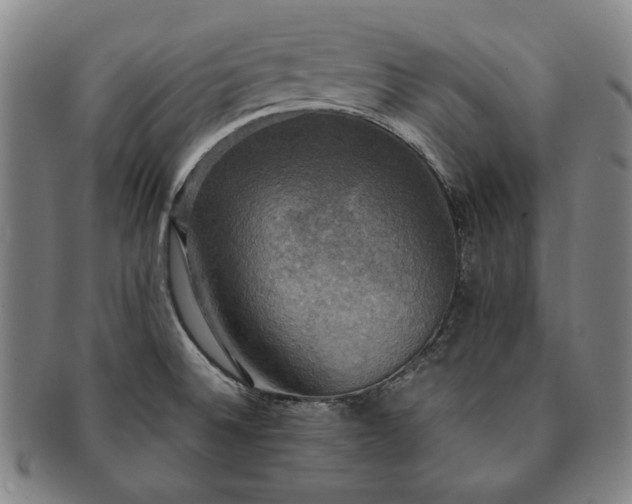 X0000091481524200708231349