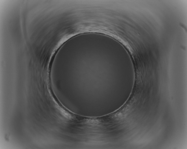 X0000091481525200708231349