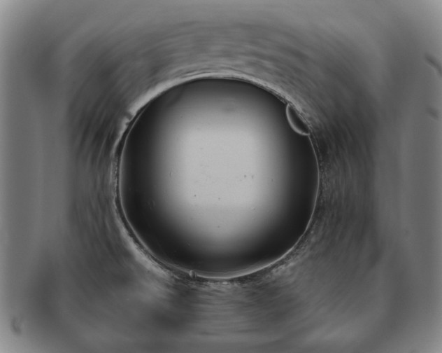 X0000091481526200708231349