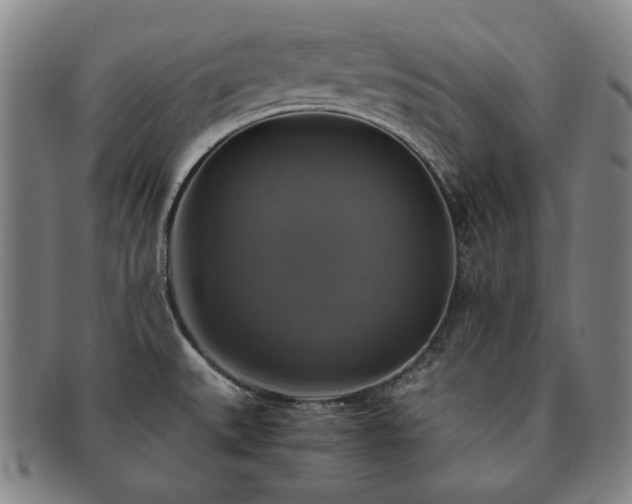 X0000091481527200708231349