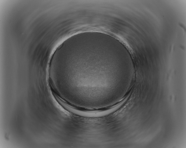 X0000091481528200708231349