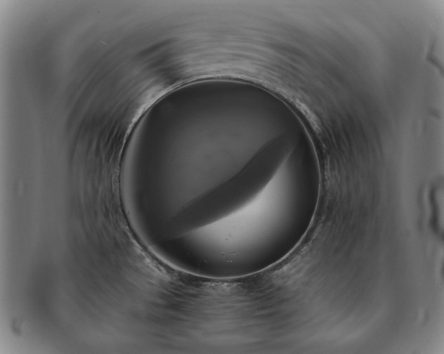 X0000091481529200708231349