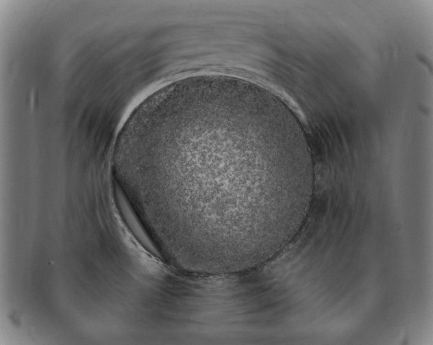 X0000091481530200708231349
