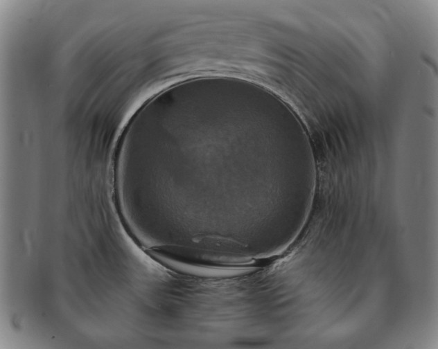 X0000091481531200708231349