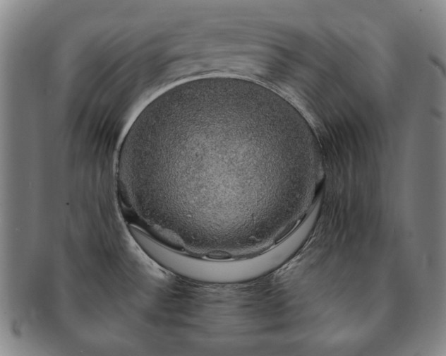 X0000091481532200708231349