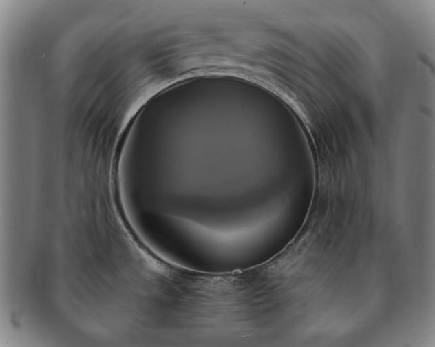 X0000091481533200708231349