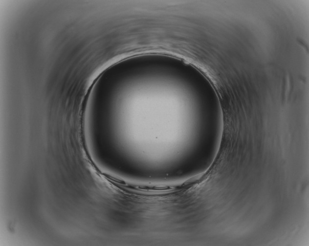 X0000091481534200708231349