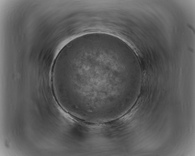 X0000091481535200708231349