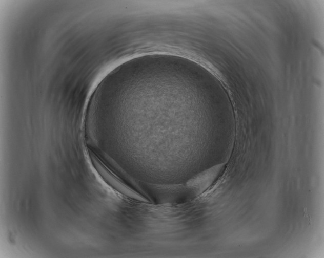 X0000091481536200708231349