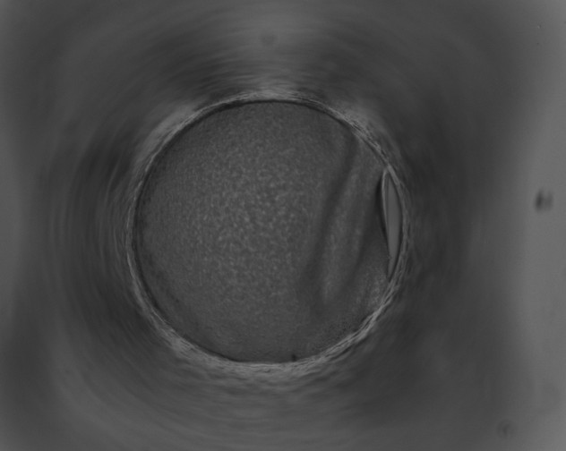 X0000091480001200708301924