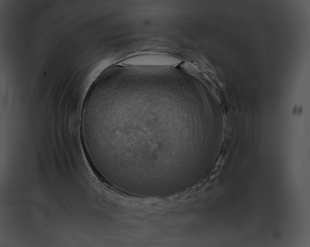 X0000091480003200708301924