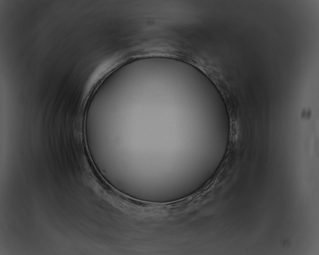 X0000091480004200708301924