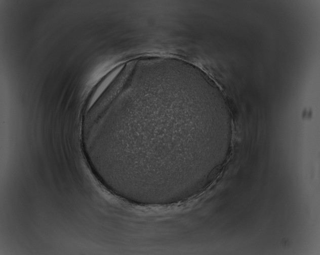 X0000091480005200708301924