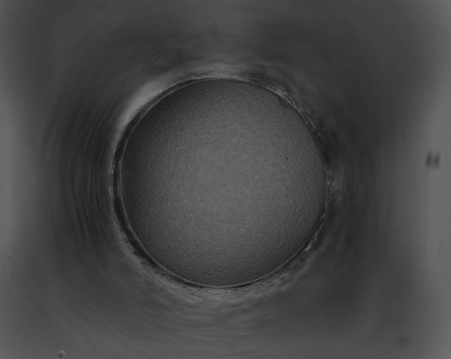 X0000091480006200708301924