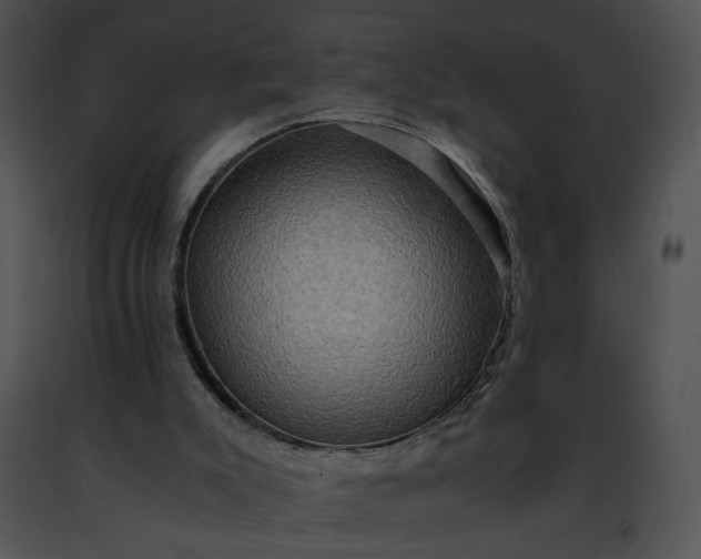 X0000091480007200708301924