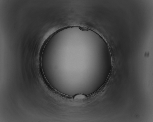 X0000091480008200708301924