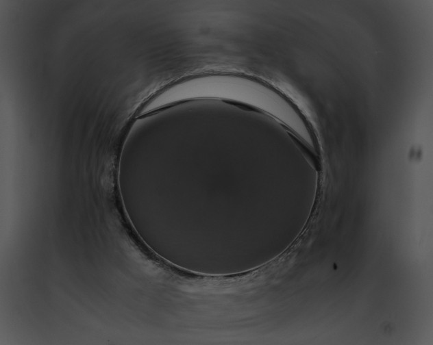 X0000091480009200708301924