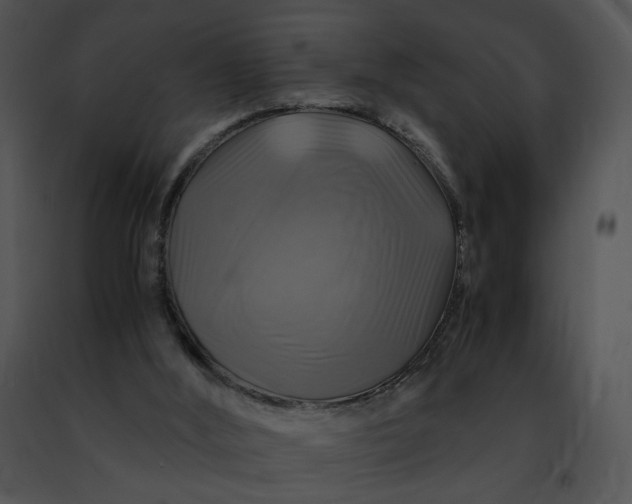 X0000091480012200708301924